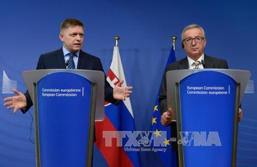 Словакия сконцентрируется на развитии экономики и решении миграционного кризиса - ảnh 1